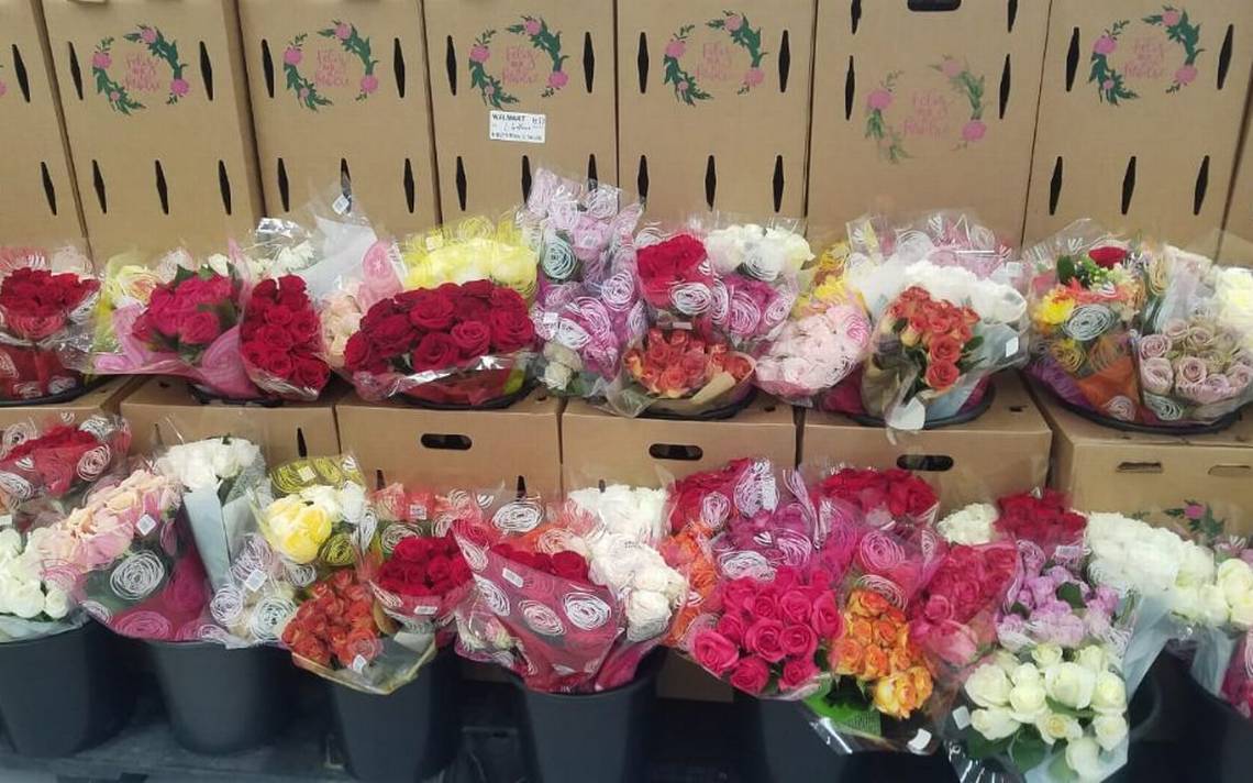 Esta son las flores más populares para regalar este Día de las Madres - El  Sudcaliforniano | Noticias Locales, Policiacas, sobre México, Baja  California Sur y el Mundo