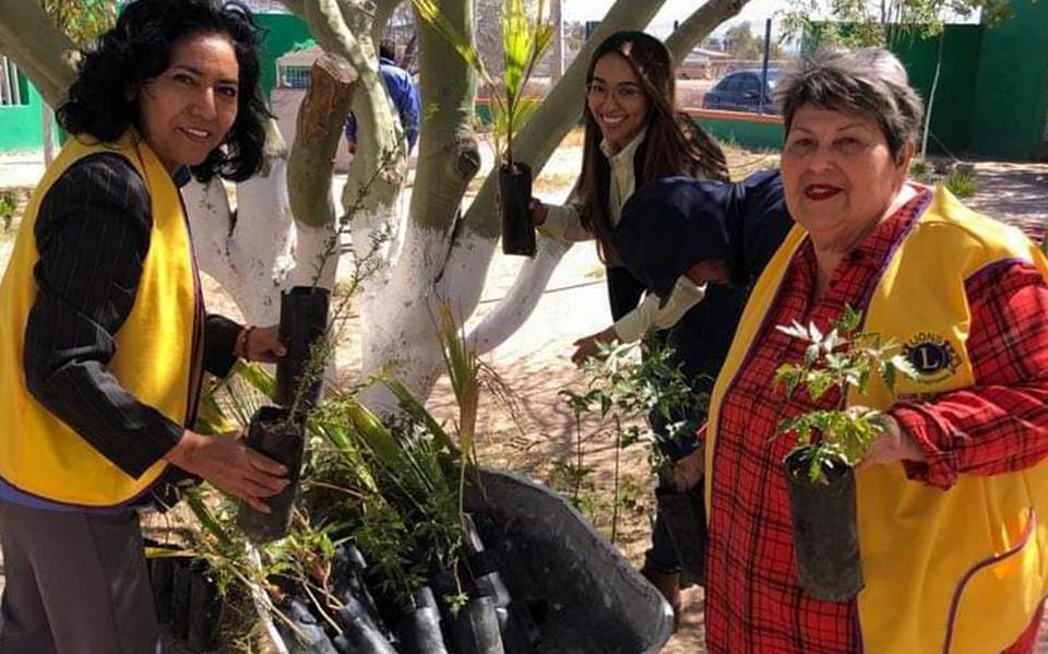 Club de Leones dona árboles para reforestar - El Sudcaliforniano | Noticias  Locales, Policiacas, sobre México, Baja California Sur y el Mundo