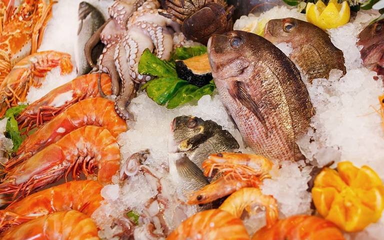 Estos son los pescados y mariscos con más mercurio, alerta FDA y EPA  -pescadosmercurio -mariscosmercurio -mercurio - El Sudcaliforniano |  Noticias Locales, Policiacas, sobre México, Baja California Sur y el Mundo