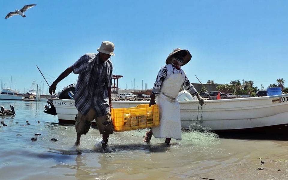 Aumentan las ventas de artículos de pesca - El Sudcaliforniano Noticias  Locales, Policiacas, sobre México, Baja California Sur y el Mundo, articulos  de pesca 