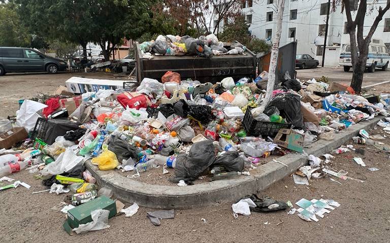 BCS alberga el único parque natural de cactáceas en México - El  Sudcaliforniano