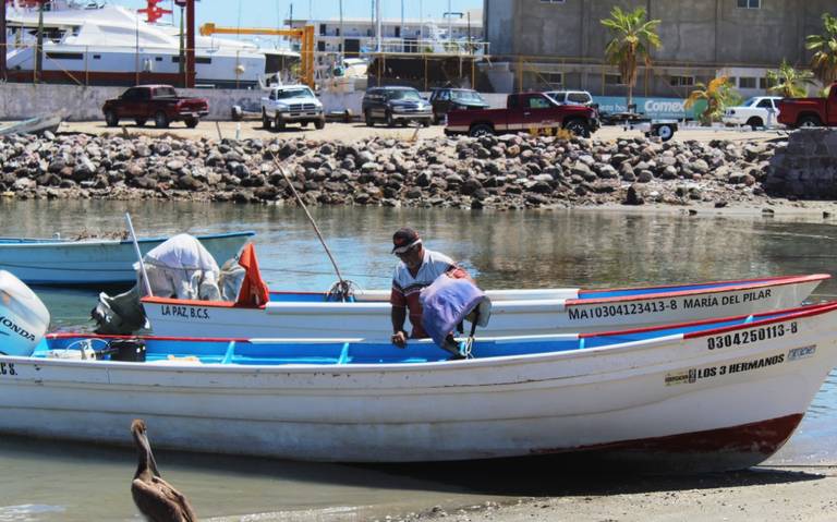 Avanza renovación del padrón de beneficiarios de seguro de vida a  pescadores - El Sudcaliforniano | Noticias Locales, Policiacas, sobre  México, Baja California Sur y el Mundo