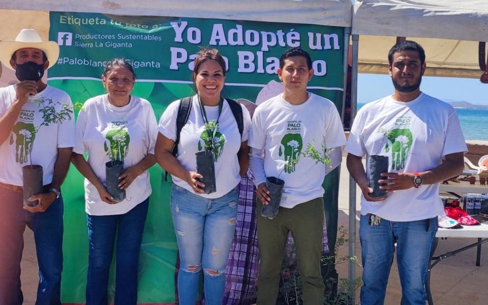 BCS alberga el único parque natural de cactáceas en México - El  Sudcaliforniano