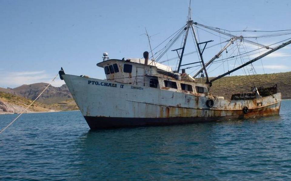 Denuncian venta de pescado presuntamente capturado de manera ilegal - El  Sudcaliforniano