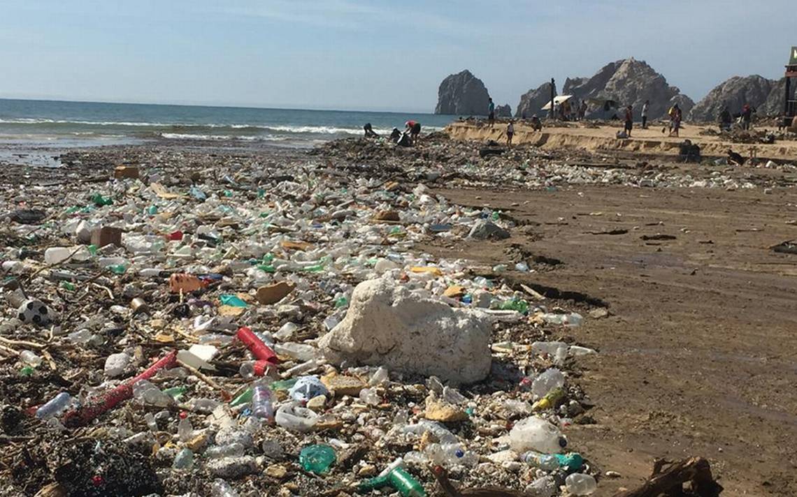 Alrededor de 40 toneladas de basura serán retiradas de la zona marítima de  Los Cabos -HuracanGenevieve -HuracanGenevieveLosCabos -HuracanGenevieveBCS  - El Sudcaliforniano | Noticias Locales, Policiacas, sobre México, Baja  California Sur y el Mundo