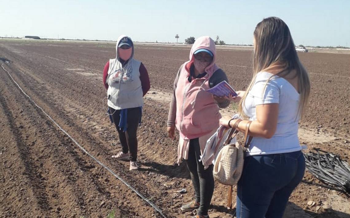 Fomentan temas de no violencia y derechos humanos de mujeres en zonas  agrícolas - El Sudcaliforniano | Noticias Locales, Policiacas, sobre  México, Baja California Sur y el Mundo