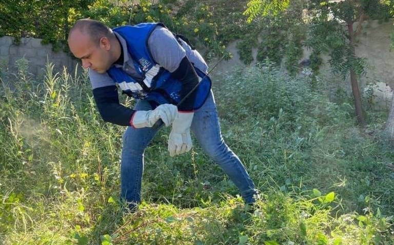 Aparatos para ejercicio ganan terreno en parques paceños - El  Sudcaliforniano