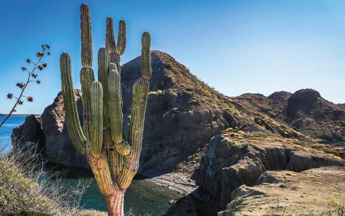 Baja California Airport